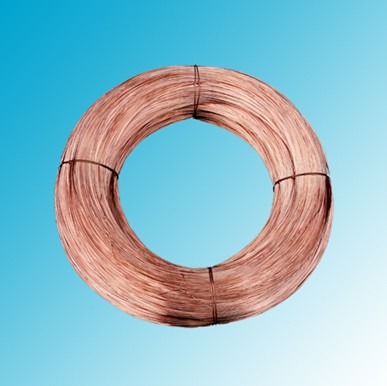 在【紫銅線(xiàn)】深處?kù)o看花開(kāi)花謝